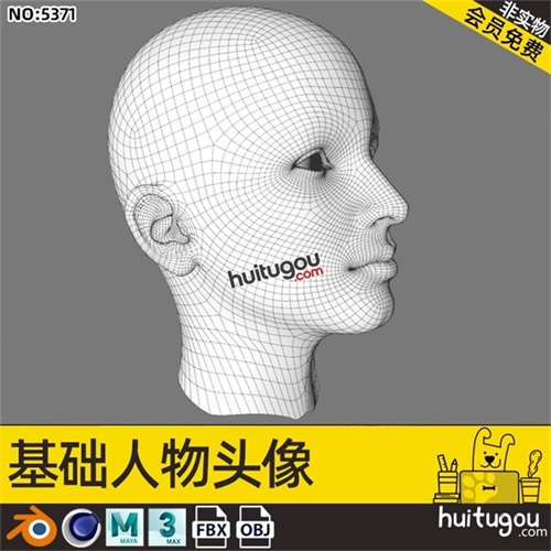 C4D女性人物头像模型MAYA基础网格角色雕刻建模OBJ犀牛nomad可用