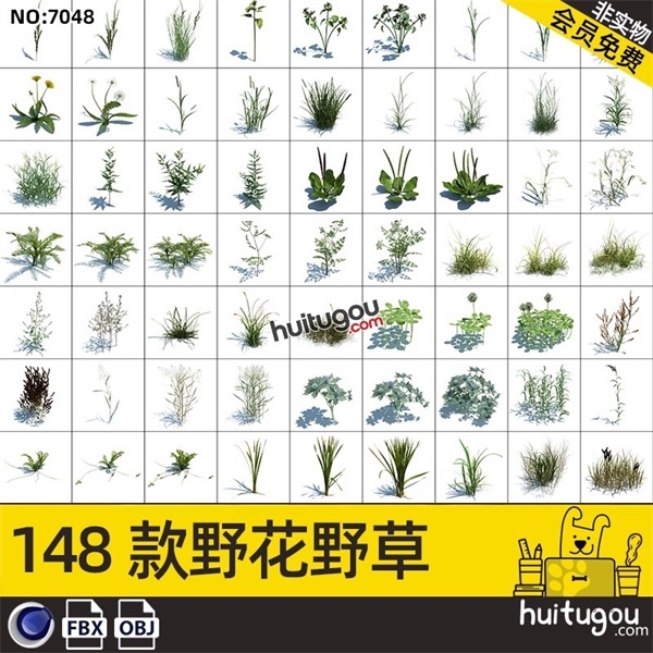 写实 绿化植物3D模型野花野草C4D三叶草蒲公英FBX设计渲染OBJ文件