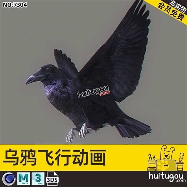 C4D乌鸦鸟类绑定动画飞行3D模型MAX 3DS MAYA CG建模渲染素材