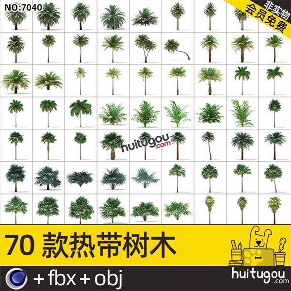 写实热带植物3D模型C4D棕榈树剑麻植物包FBX三维建模渲染设计素材