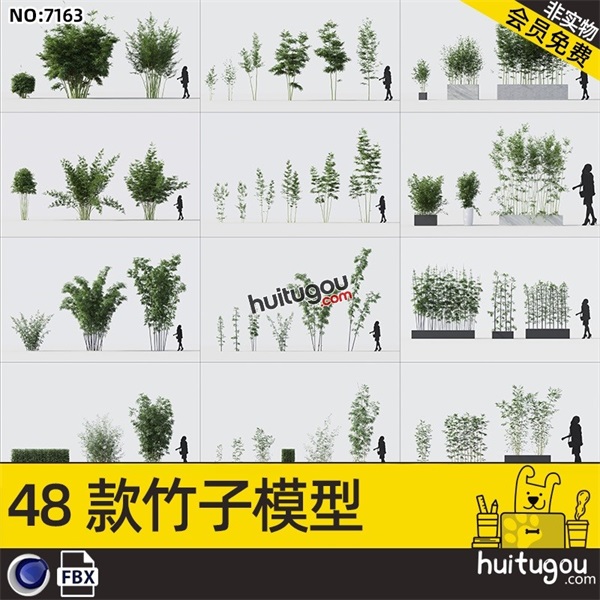 C4D写实竹子模型FBX格式文竹盆栽竹林3D建模渲染设计素材源文件