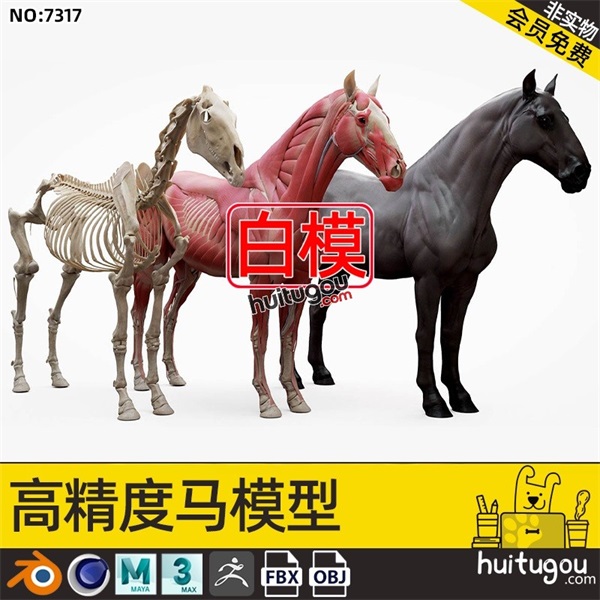 C4D马儿骨骼肌肉结构动物解剖学3D模型MAX建模ZB雕刻三维设计素材