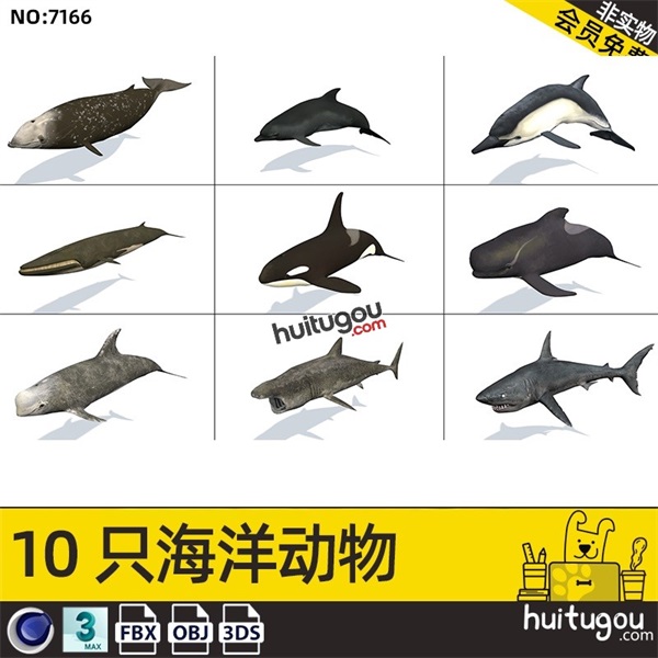 C4D写实PBR海洋生物鱼类3D模型鲸鱼鲨鱼海豚FBX格式MAX带骨骼动画