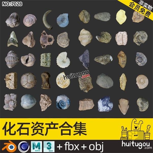 40款写实化石模型C4D博物馆石头低模Blender标本3D素材OBJ源文件