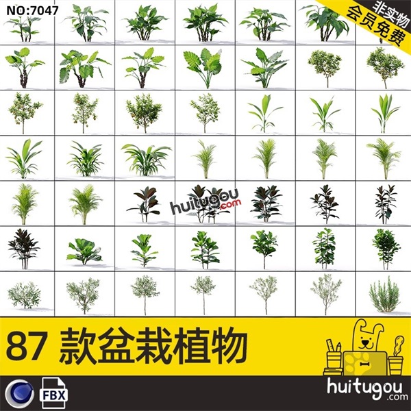 盆栽植物3D模型C4D常见花园植物FBX陶瓷水泥花盆三维建模渲染素材