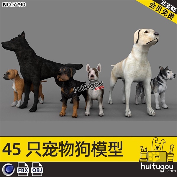 C4D写实风格宠物狗模型FBX犬类动物带骨骼OBJ建模渲染3D设计素材