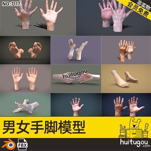 Blender写实人物手脚肢体3D模型男士女性手掌FBX建模渲染设计素材