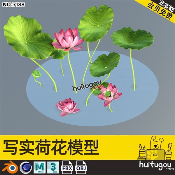 C4D莲花荷花荷叶模型Blender水生植物花卉MAYA建模渲染FBX素材OBJ
