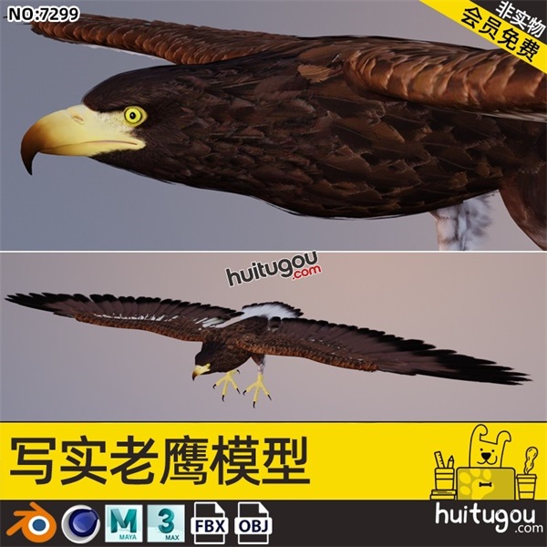 C4D老鹰3D模型FBX雕鸟类带骨骼带绑定 三维设计素材源文件