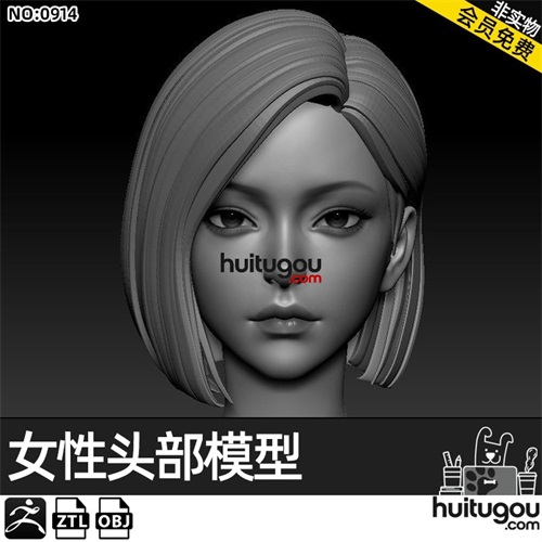 zbrush女性人物头部模型 ztl格式obj ZB建模雕刻设计素材