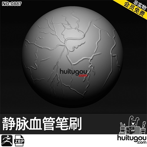 Zbrush静脉曲张血管脉络VDM笔刷zbp画笔ZB人物雕刻塑形纹理3D素材