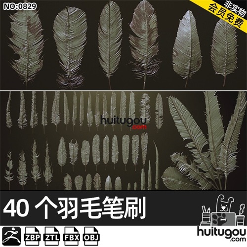 Zbrush羽毛IMM笔刷zbp画笔ZB雕刻建模ztl素材羽毛高模fbx模型obj