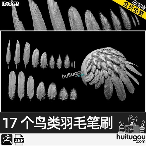 ZBrush鸟类羽毛绒毛IMM笔刷ZB画笔zbp格式老鹰翅膀建模雕刻素材