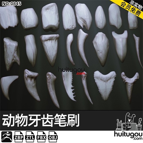 Zbrush动物牙齿獠牙IMM笔刷zbp画笔ZB模型ztl建模雕刻素材fbx obj