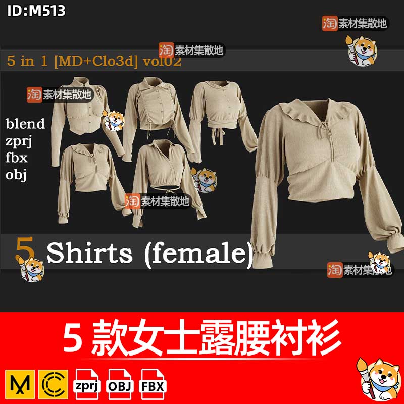 5款女士露腰衬衫clo3d服装短款长袖上衣服饰ZPRJ模型打版文件OBJ