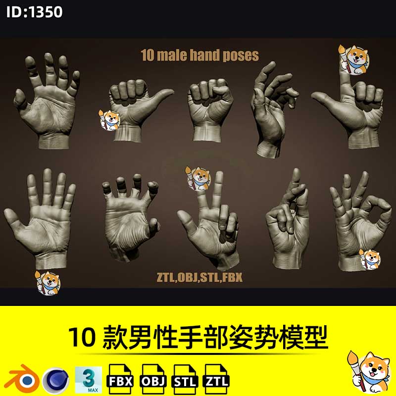 ZBrush模型10款男性手部姿势ZTL工程带OBJ/STL/FBX格式ZB雕刻素材