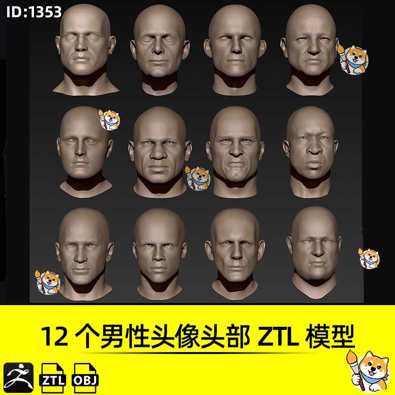 ZBrush模型12个男性头像头部基础网格ZTL工程带OBJ格式ZB雕刻素材