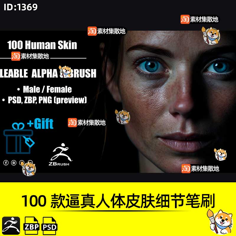 ZBrush笔刷100款逼真人体皮肤细节ZBP笔刷alpha纹理图ZB雕刻素材