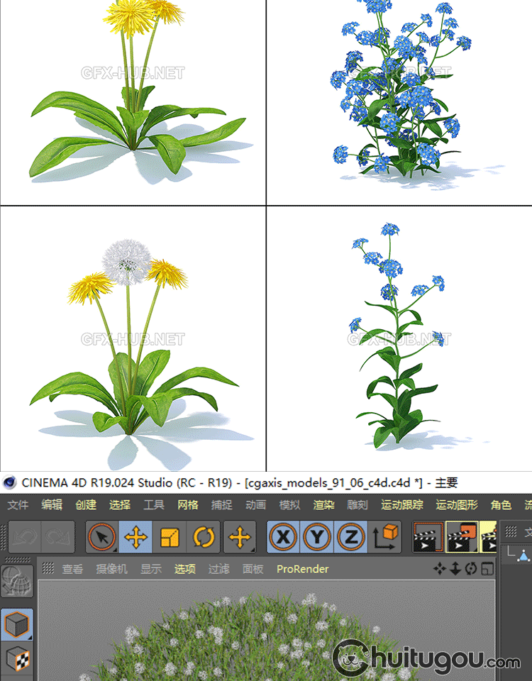 写实3D花草植物模型C4D草坪草地野花野草FBX格式OBJ设计素材文件 - 植物自然 - 绘图狗-设计灵感素材集散地
