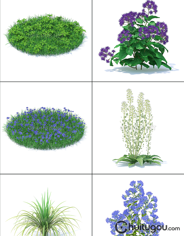 写实3D花草植物模型C4D草坪草地野花野草FBX格式OBJ设计素材文件 - 植物自然 - 绘图狗-设计灵感素材集散地
