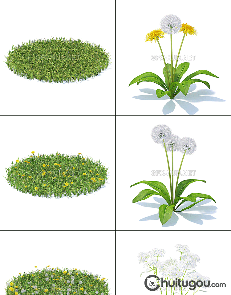 写实3D花草植物模型C4D草坪草地野花野草FBX格式OBJ设计素材文件 - 植物自然 - 绘图狗-设计灵感素材集散地