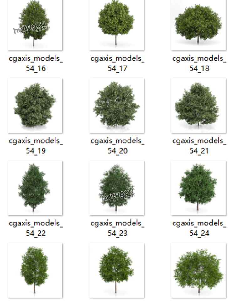 CGAXIS Trees-5[树]植物树木3D模型森林植株C4D素材MAX格式OBJ - CGAxis单体模型 - 绘图狗-设计灵感素材集散地