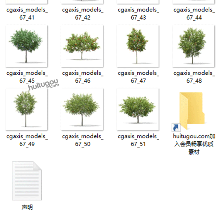 CGAXIS Trees-7[树]植物树木3D模型max素材C4D树木单体FBX格式FBX - CGAxis单体模型 - 绘图狗-设计灵感素材集散地