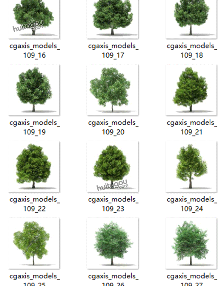 CGAXIS Trees-12[树]植物大树3D模型MAX素材C4D树木FBX格式OBJ - CGAxis单体模型 - 绘图狗-设计灵感素材集散地