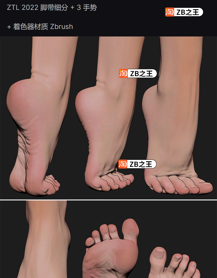 人体模型 脚部 ZBrush模型1款写实逼真人类女性脚部脚掌ZTL模型ZB素材带ZMT材质