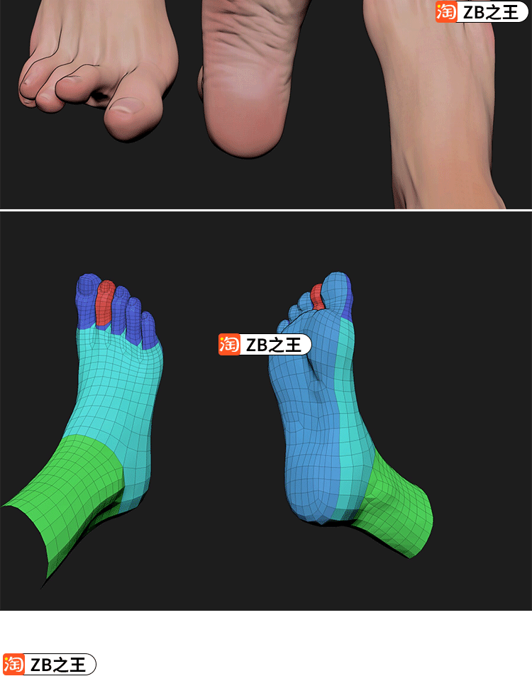 ZBrush模型1款写实逼真人类女性脚部脚掌ZTL模型ZB素材带ZMT材质